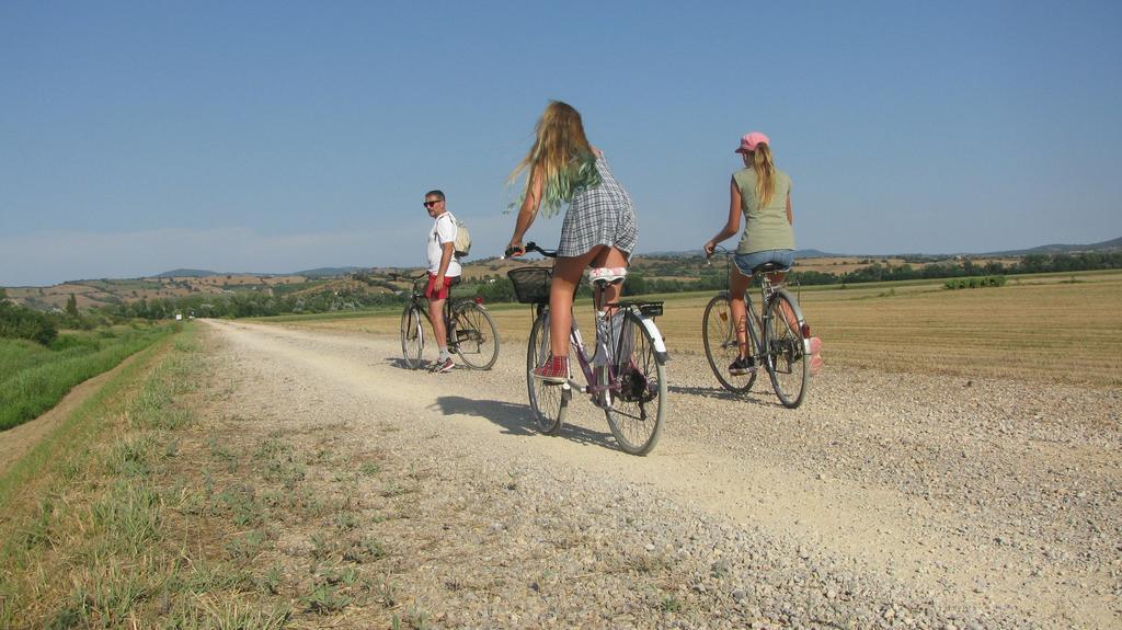 Appartamenti Il Granaio Marina di Grosseto Luaran gambar